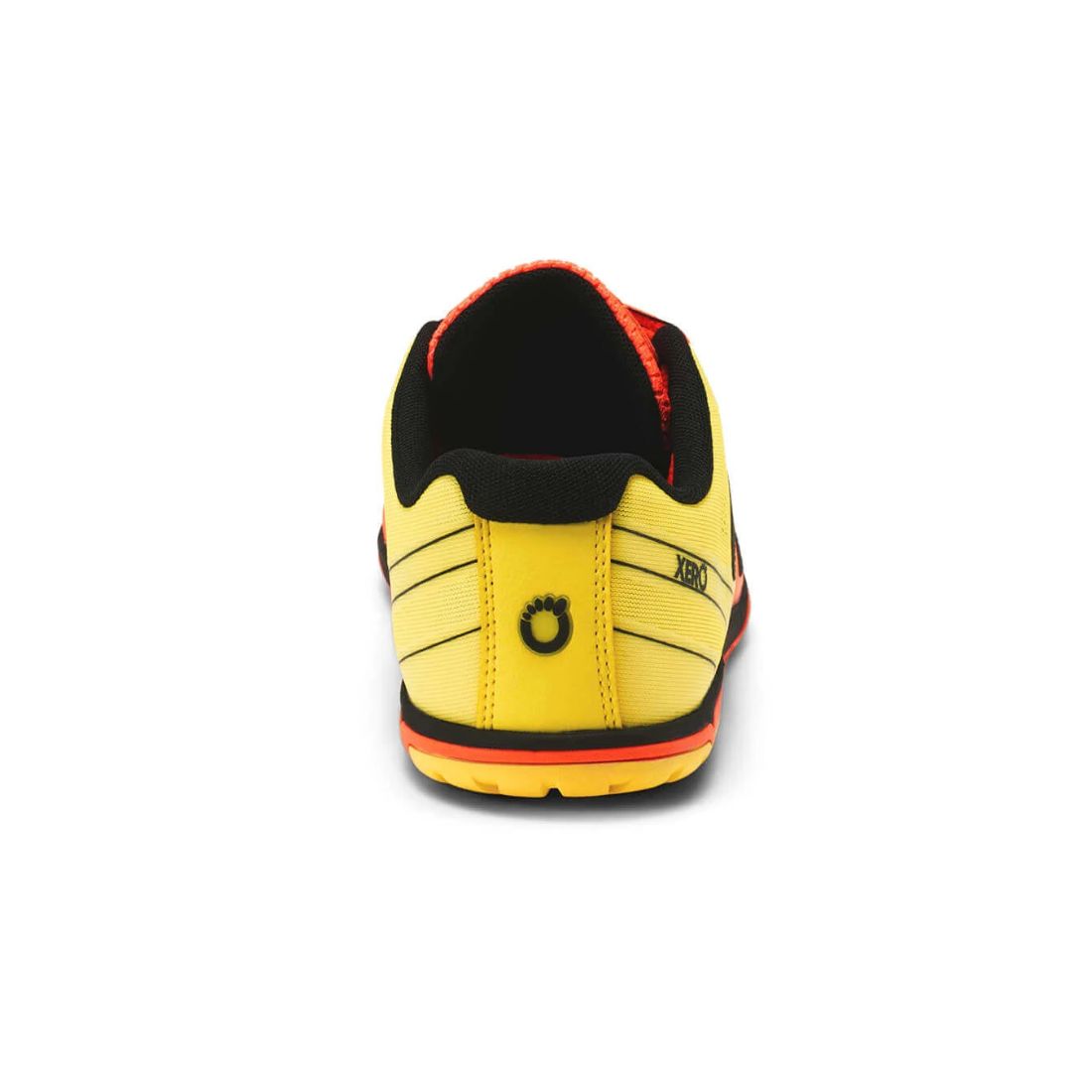 HFS II